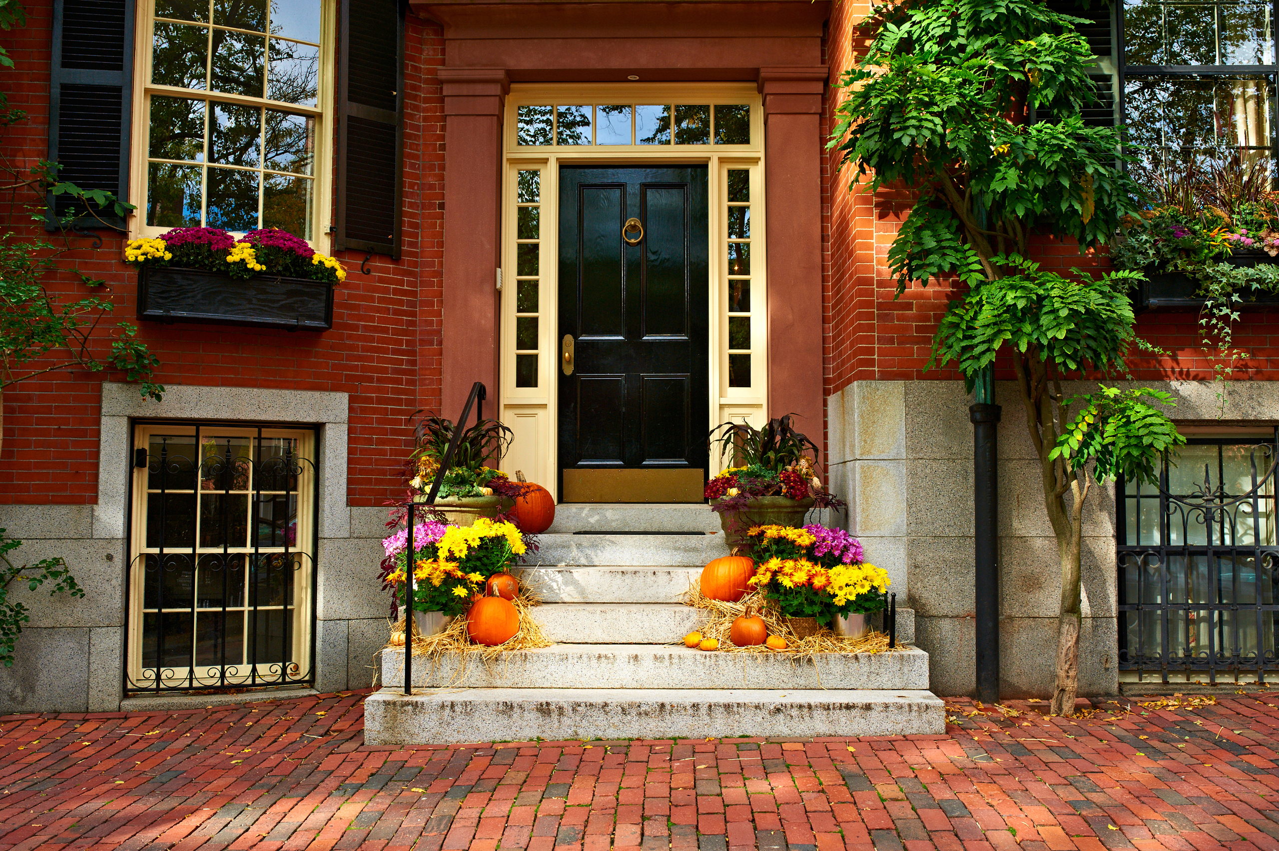 Boston Thanksgiving Weekend Guide: The Best Local Events & Traditions for 2025